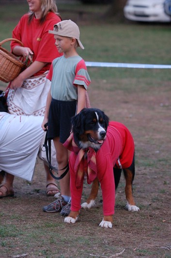 Karneval pejsků a páníčků