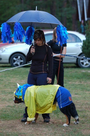 Karneval pejsků a páníčků
