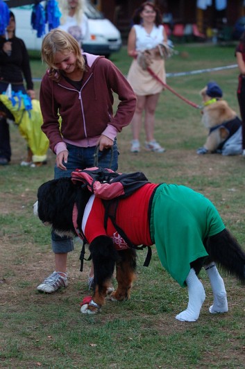 Karneval pejsků a páníčků
