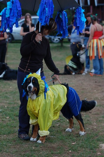 Karneval pejsků a páníčků