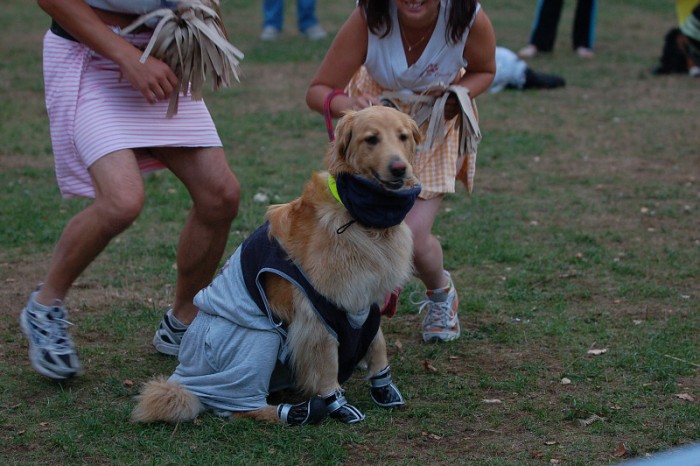 Karneval pejsků a páníčků