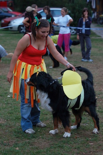 Karneval pejsků a páníčků