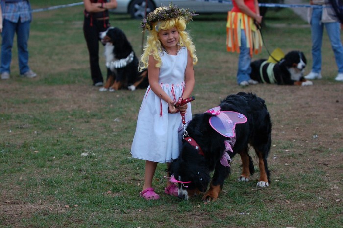 Karneval pejsků a páníčků