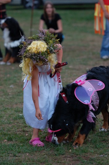Karneval pejsků a páníčků
