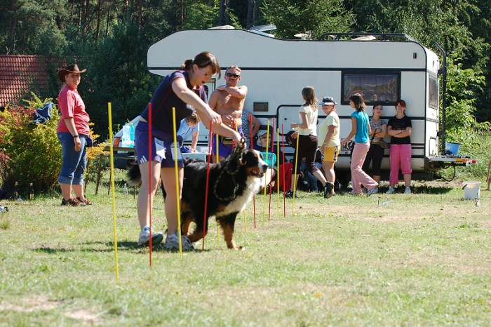Závody o bronzového a železného psa