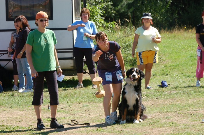 Závody o bronzového a železného psa