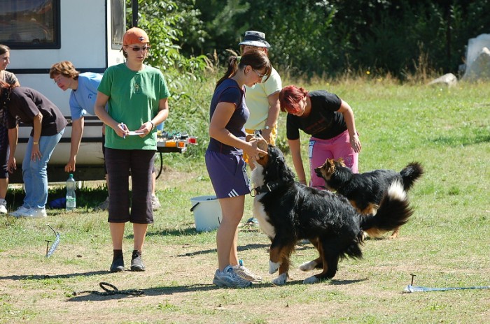 Závody o bronzového a železného psa