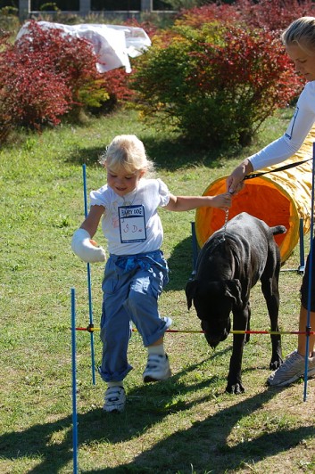 Závody o bronzového a železného psa