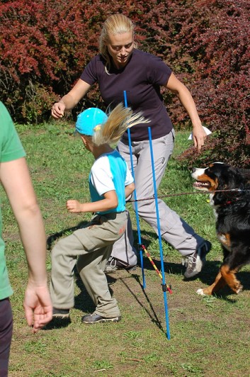 Závody o bronzového a železného psa