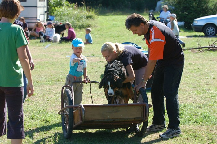Závody o bronzového a železného psa