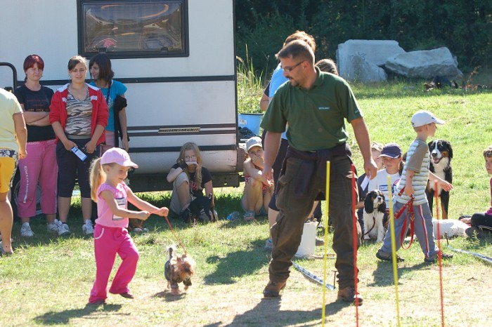 Závody o bronzového a železného psa