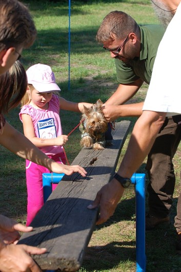 Závody o bronzového a železného psa