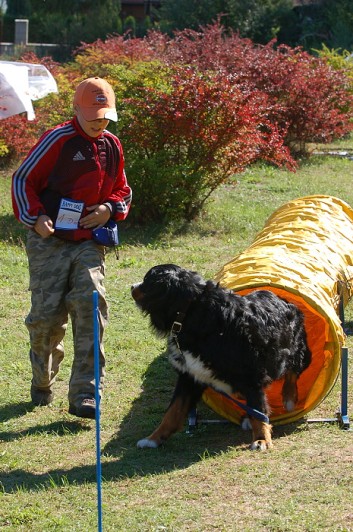 Závody o bronzového a železného psa