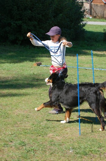 Závody o bronzového a železného psa