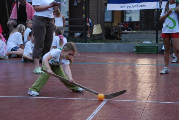 LVT 2008 - I. ZOHR - hokej