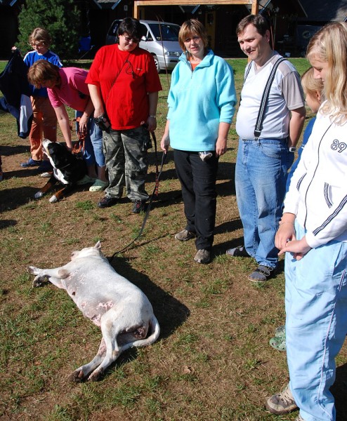 LVT 2008 - momentky z táborového života