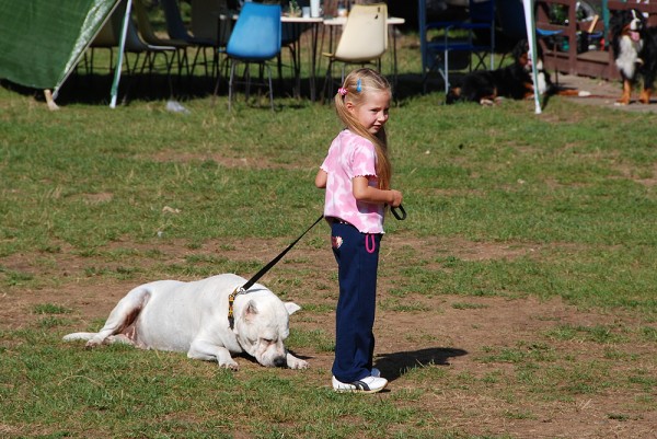 LVT 2008 - momentky z táborového života