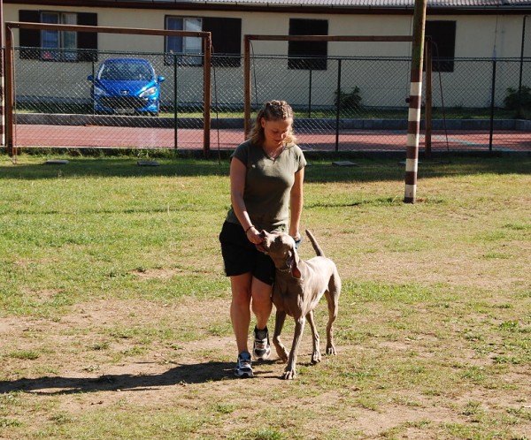 LVT 2008 - momentky z táborového života