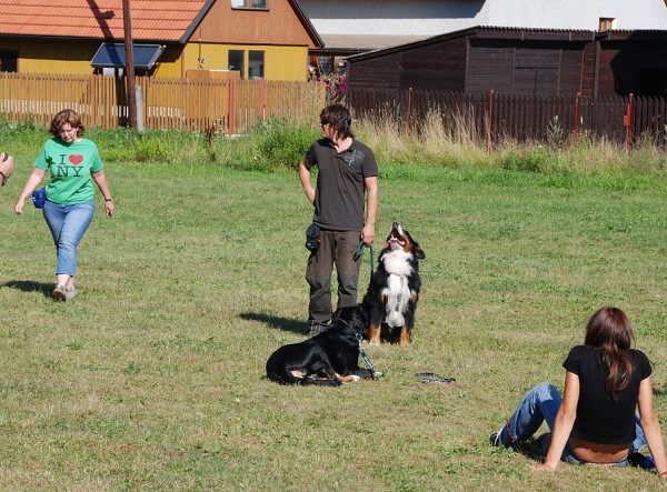LVT 2008 - momentky z táborového života