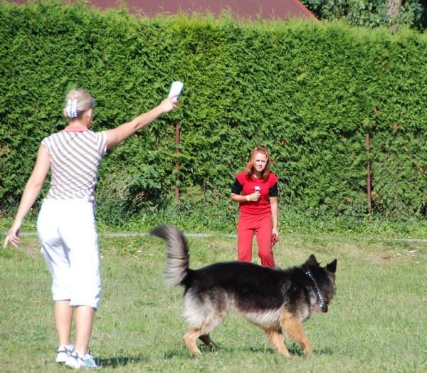 LVT 2008 - momentky z táborového života