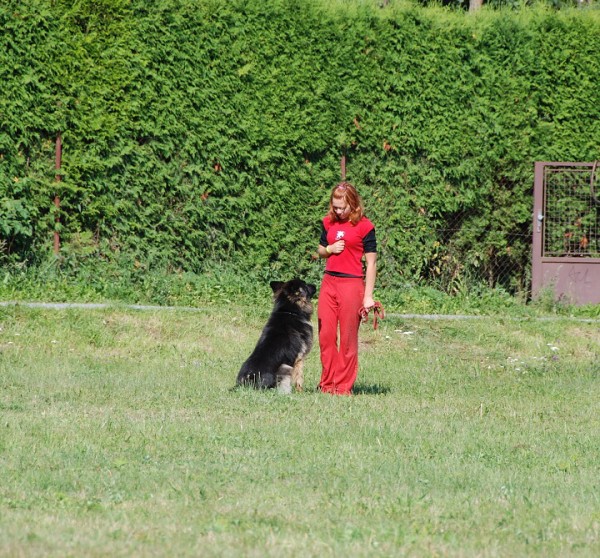 LVT 2008 - momentky z táborového života