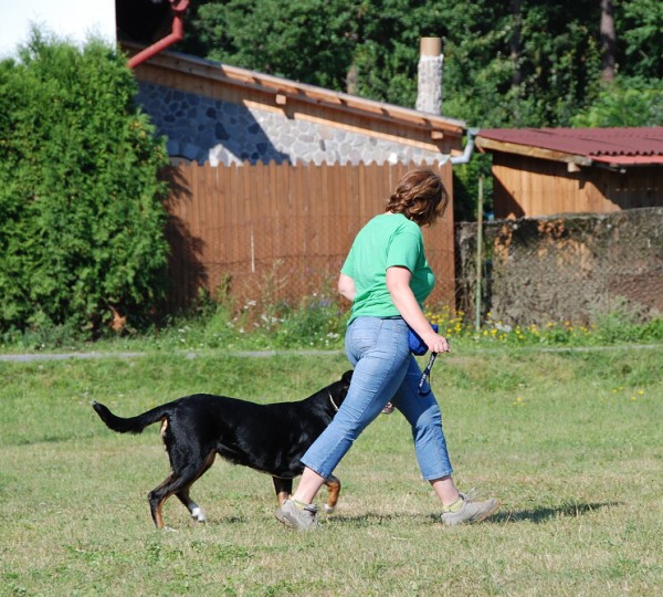 LVT 2008 - momentky z táborového života