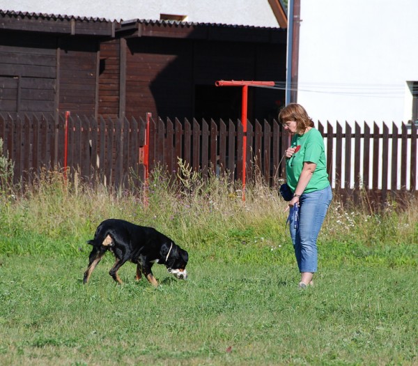 LVT 2008 - momentky z táborového života