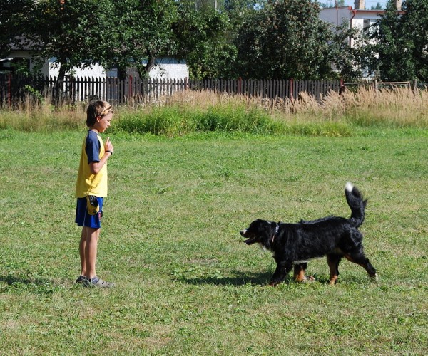 LVT 2008 - momentky z táborového života