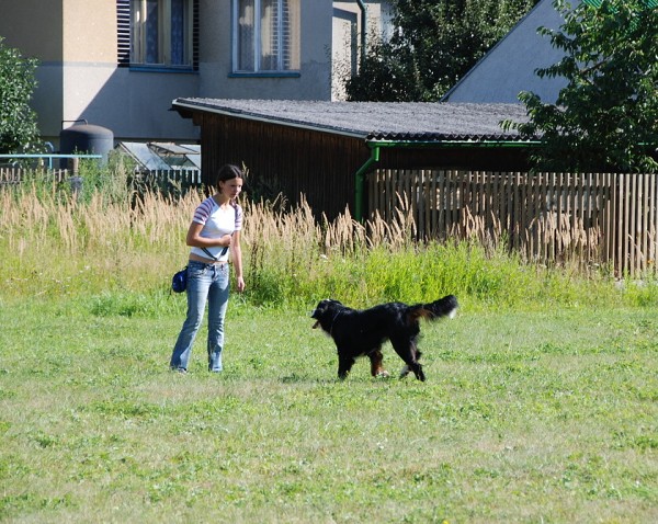 LVT 2008 - momentky z táborového života