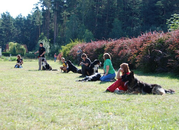 LVT 2008 - momentky z táborového života