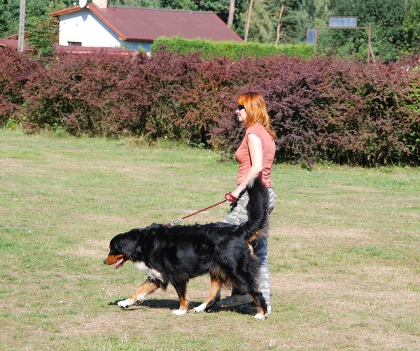 LVT 2008 - momentky z táborového života