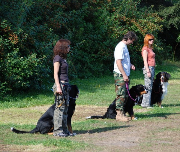 LVT 2008 - momentky z táborového života