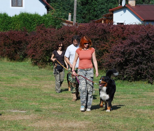 LVT 2008 - momentky z táborového života