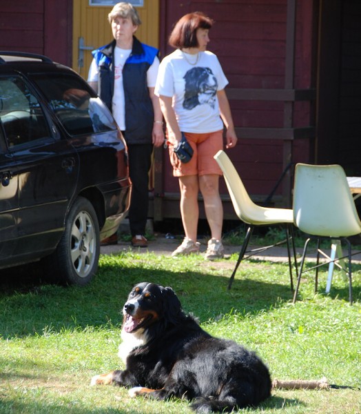 LVT 2008 - momentky z táborového života
