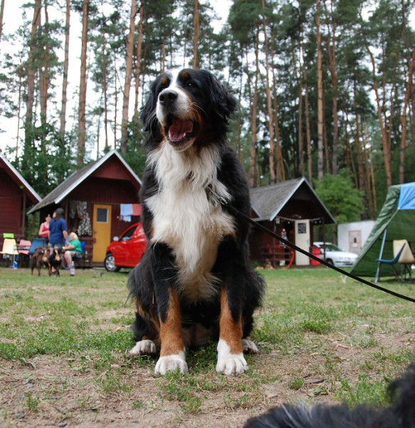 LVT 2008 - momentky z táborového života