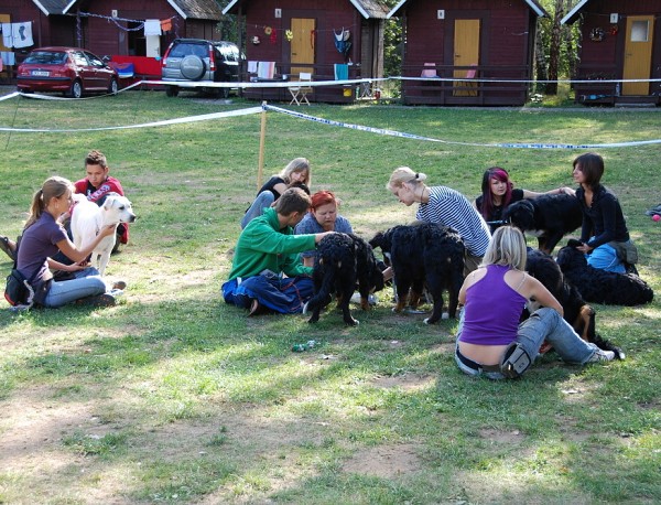 LVT 2008 - momentky z táborového života