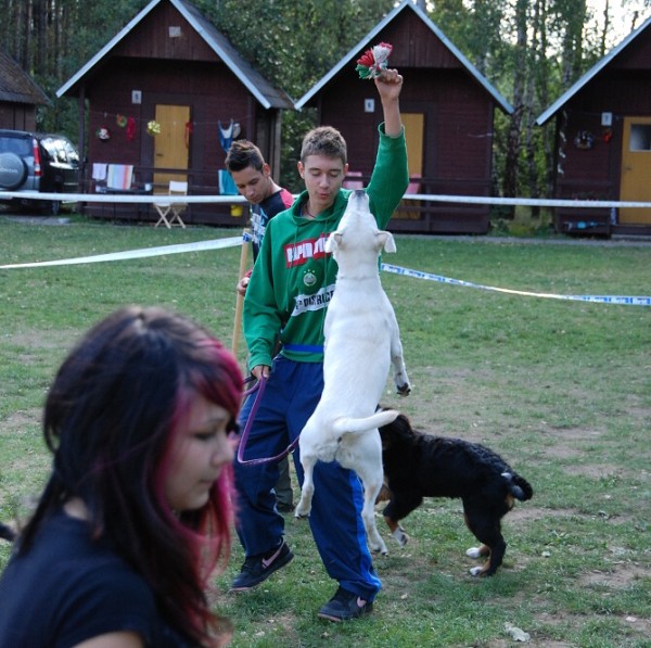 LVT 2008 - momentky z táborového života