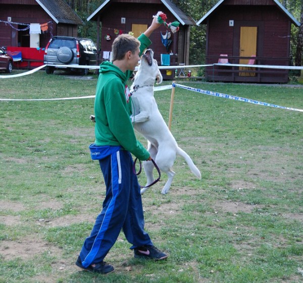LVT 2008 - momentky z táborového života