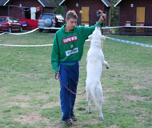 LVT 2008 - momentky z táborového života
