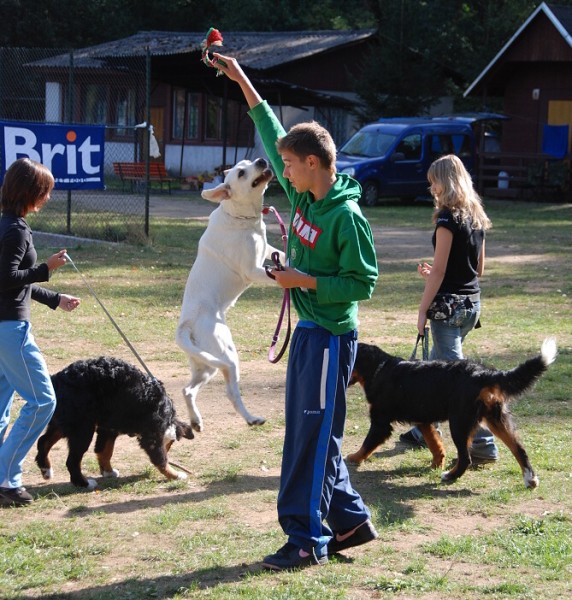 LVT 2008 - momentky z táborového života