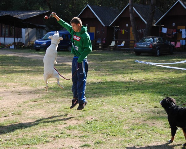 LVT 2008 - momentky z táborového života