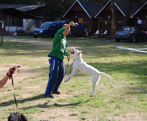 LVT 2008 - momentky z táborového života