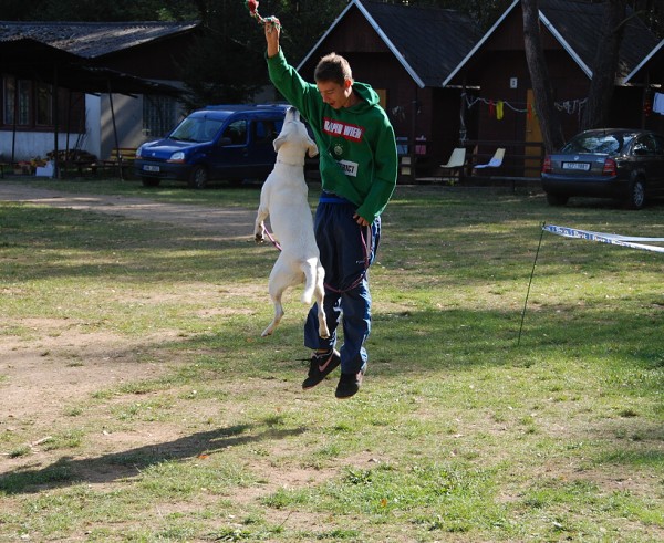 LVT 2008 - momentky z táborového života