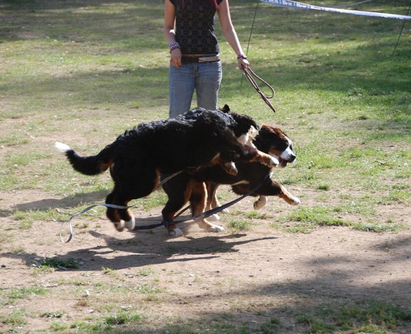 LVT 2008 - momentky z táborového života