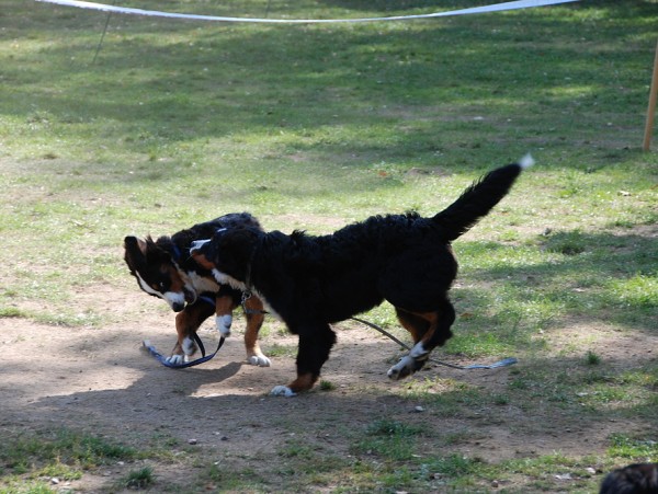 LVT 2008 - momentky z táborového života