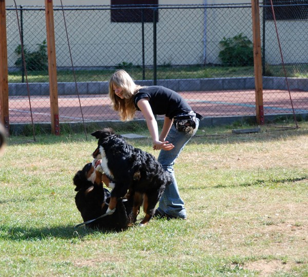 LVT 2008 - momentky z táborového života