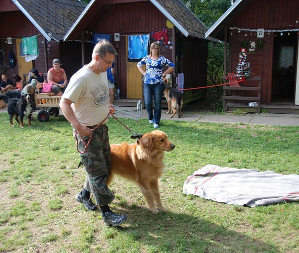LVT 2008 - momentky z táborového života