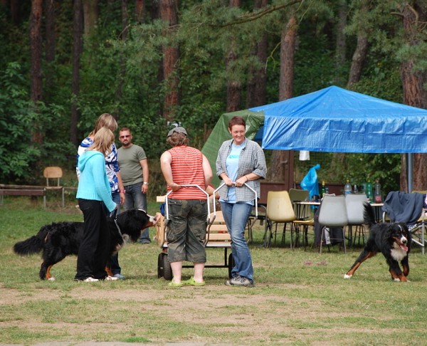 LVT 2008 - momentky z táborového života