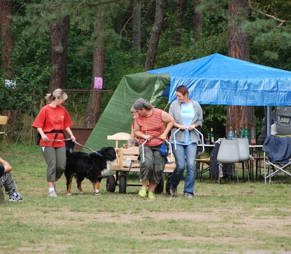 LVT 2008 - momentky z táborového života