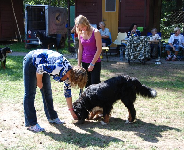 LVT 2008 - momentky z táborového života